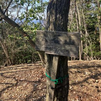 大谷山の山頂に到着。☺️