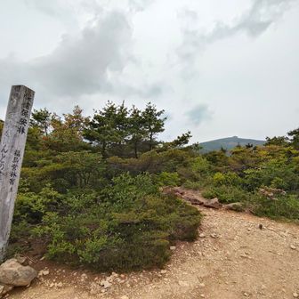 登山口まで下りたら突然のにわか雨☔雨の中走っていたら、車から声をかけていただき麓まで乗せて貰いました。その節はありがとうございました🙏