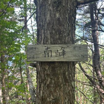 南峰到着。伊那富士から15分弱くらいの場所にあり。アップダウンあって、ちょっとしんどかった〜😅