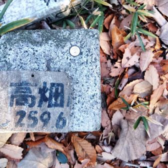 三角点の棒も

山頂プレートも真っ二つになっとる👿