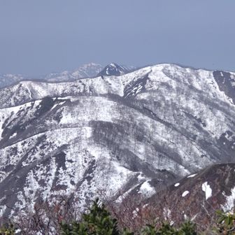 P1262の左に“冠山”