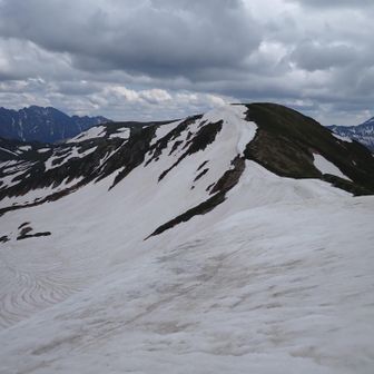 ピーク直下の夏道は下が見えない雪壁となっており、斜度が緩い丸山方向に戻る