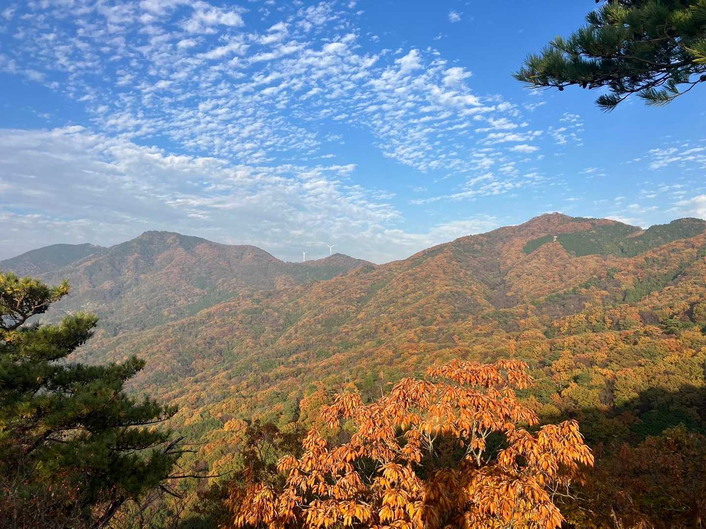 きのこ山 往復コースの写真