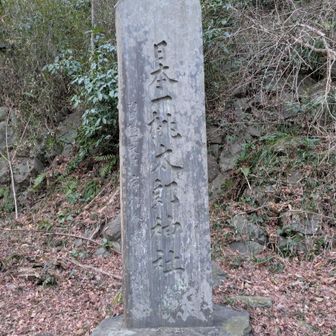 途中の桃太郎神社ってのにも寄ってみる
