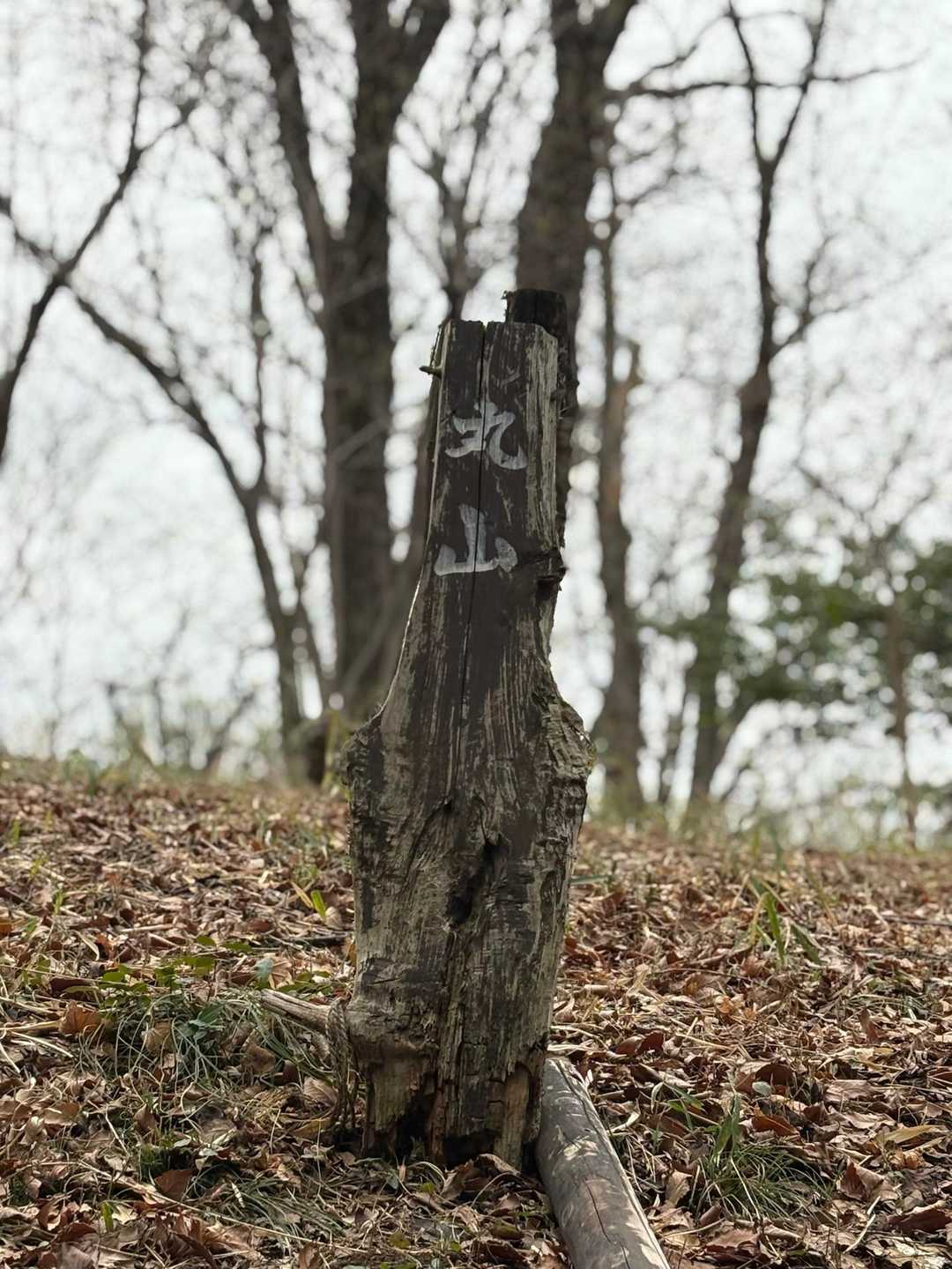 山名盤ありました