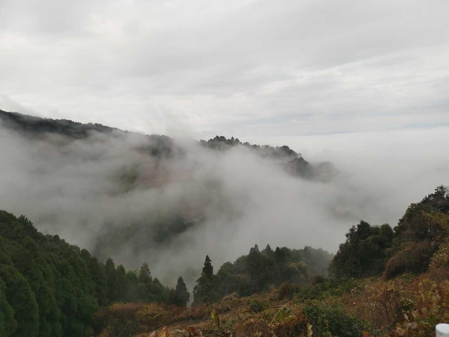飛形山-御山飛形観音堂 往復コースの写真