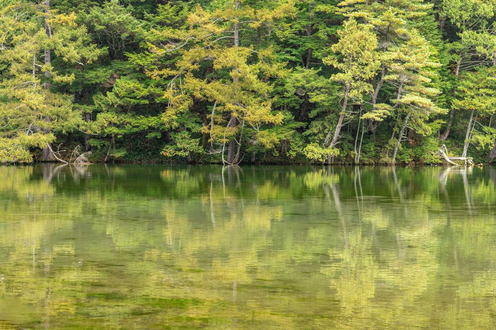 梓川に沿って点在する湿原・池塘・草原に魅せられながら、穂高連峰の懐への写真