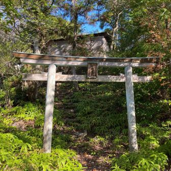 井関三神社奥宮⛩️