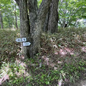 天空のビーチに行く前に三角点へ