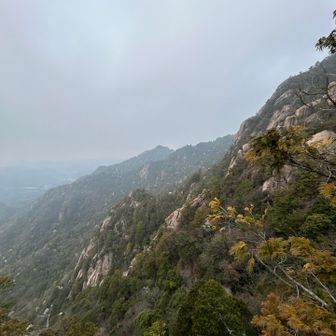 登りでもう暑くてモンベルのジオラインだけになったんだけど、それでちょうどよかった！風が気持ちいい