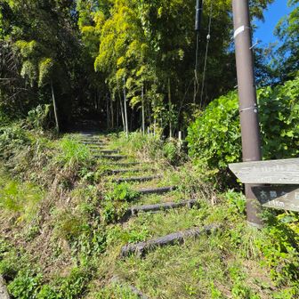 ここからクモの巣との戦い