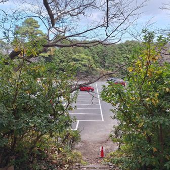 無事に駐車場に戻ってきた。
油山の魅力を知ることが出来た山歩でした❗