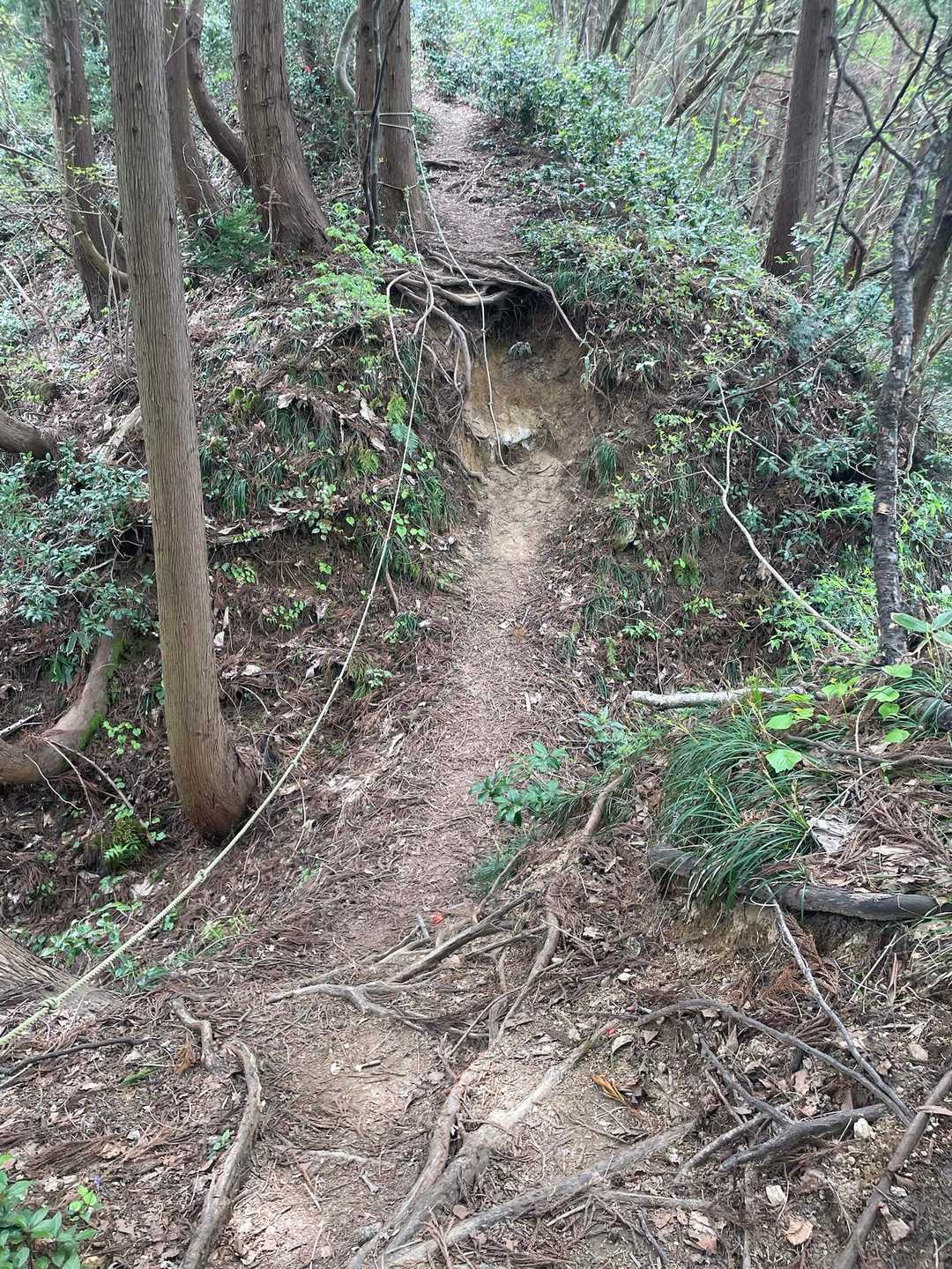 動いてるとめっちゃ暑い🥵すれ違う登山の人とも、夏みたいですねー☀️って🍉