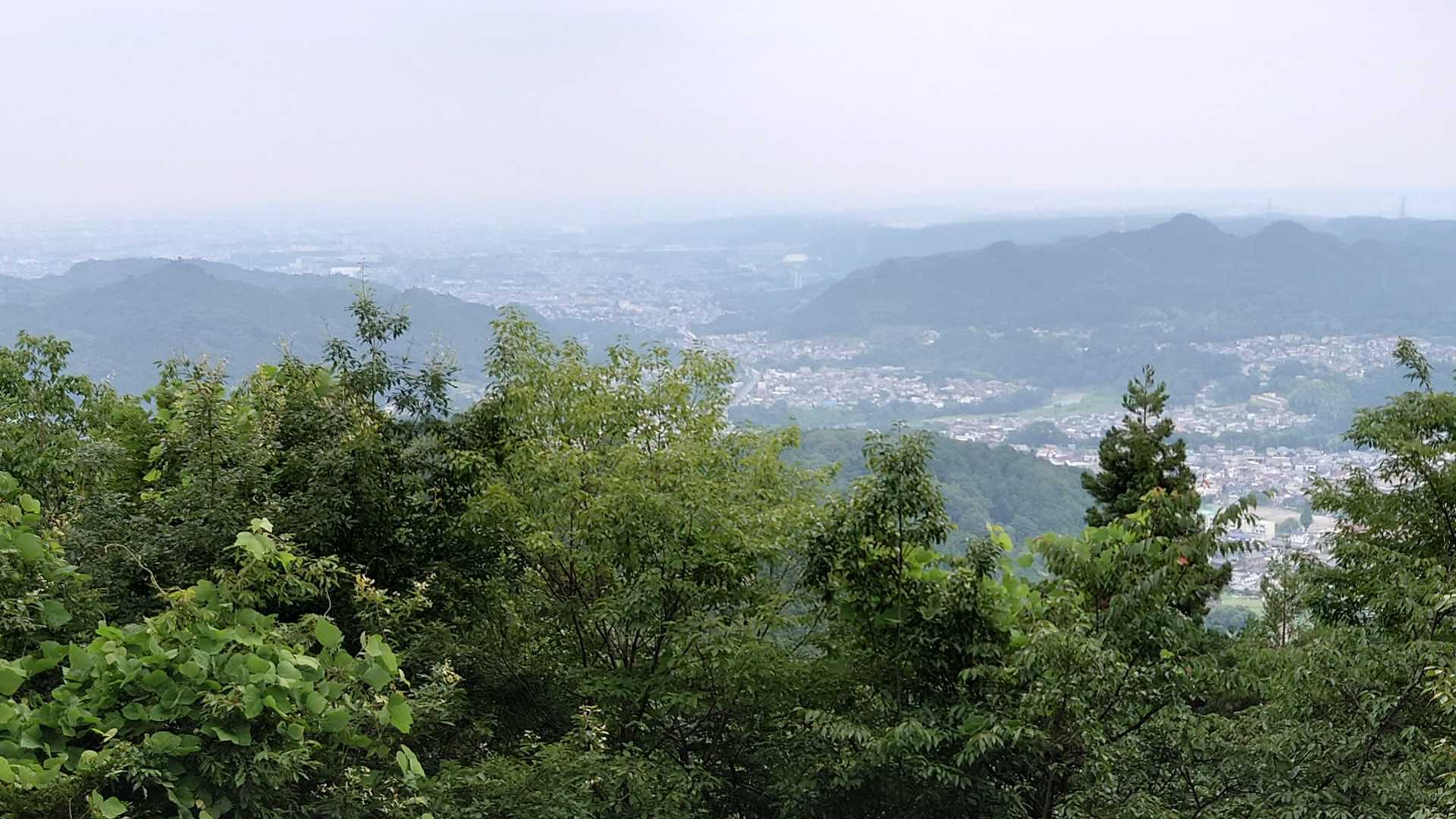 南沢あじさい山入口-南沢あじさい山入口-金比羅山-琴平神社 縦走コースの写真