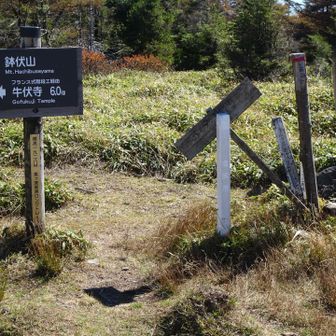 鉢伏山