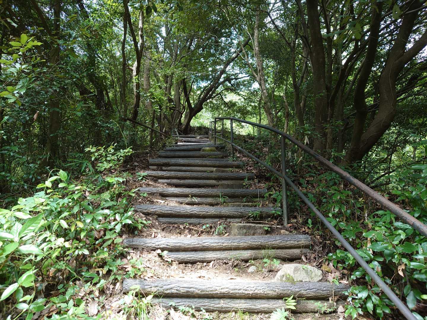 登山口