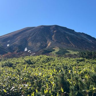 逆光だった旭岳をやっと捉えた