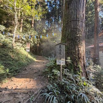 表参道から登り
入山規制時間ギリギリでした(15時