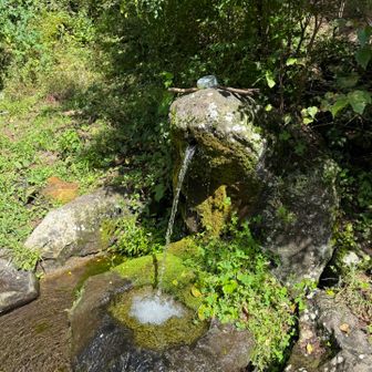 帰りは水場が多かったです