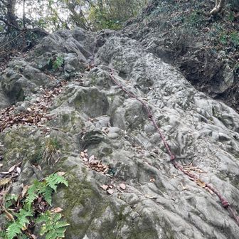 結構な急登だけど、危険な感じではないです。
ふくらはぎが痛いです。