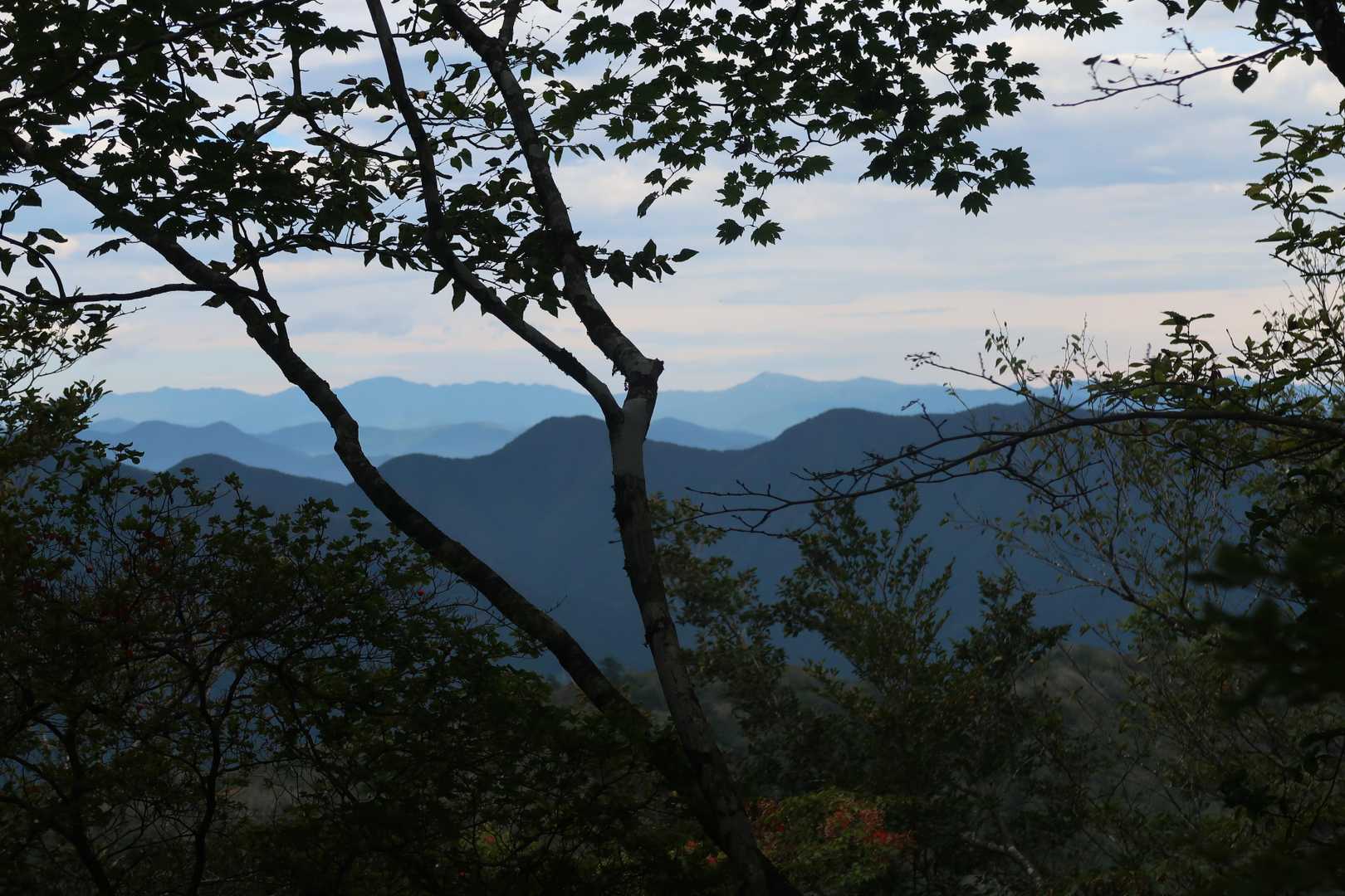 雲取山とか大菩薩嶺