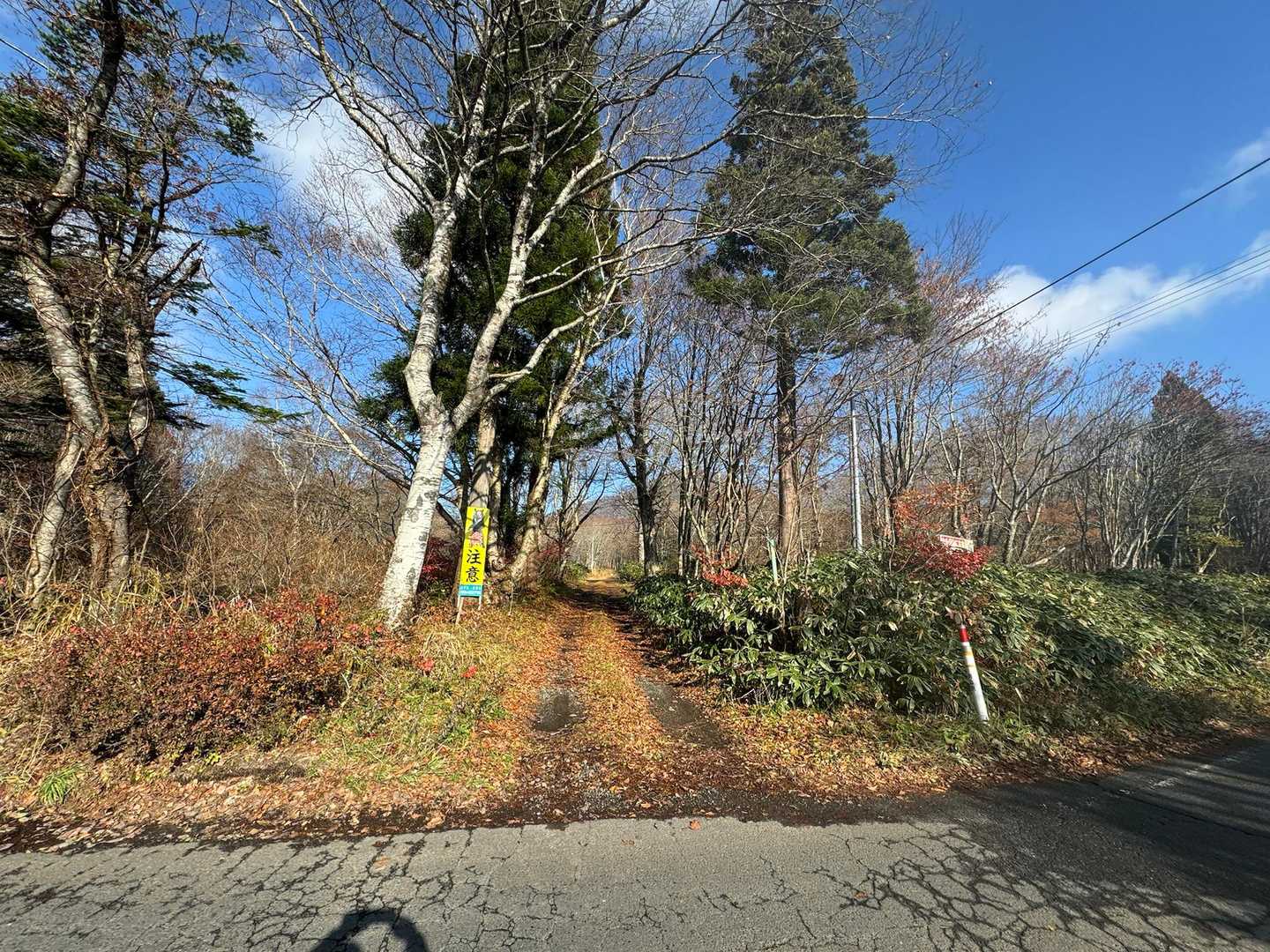駐車場のすぐそばが、登山口
熊に注意🐻の看板がやたらと出てくる😅