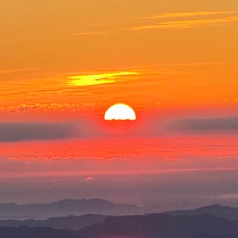 来年も良い年でありますように🙏