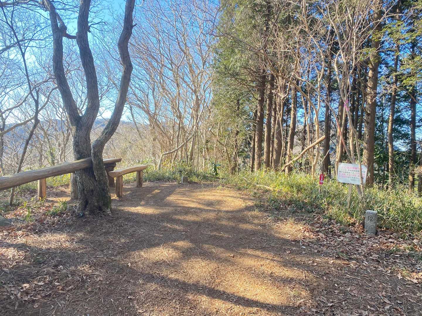 「鬼越山」の山頂に着きました😆
