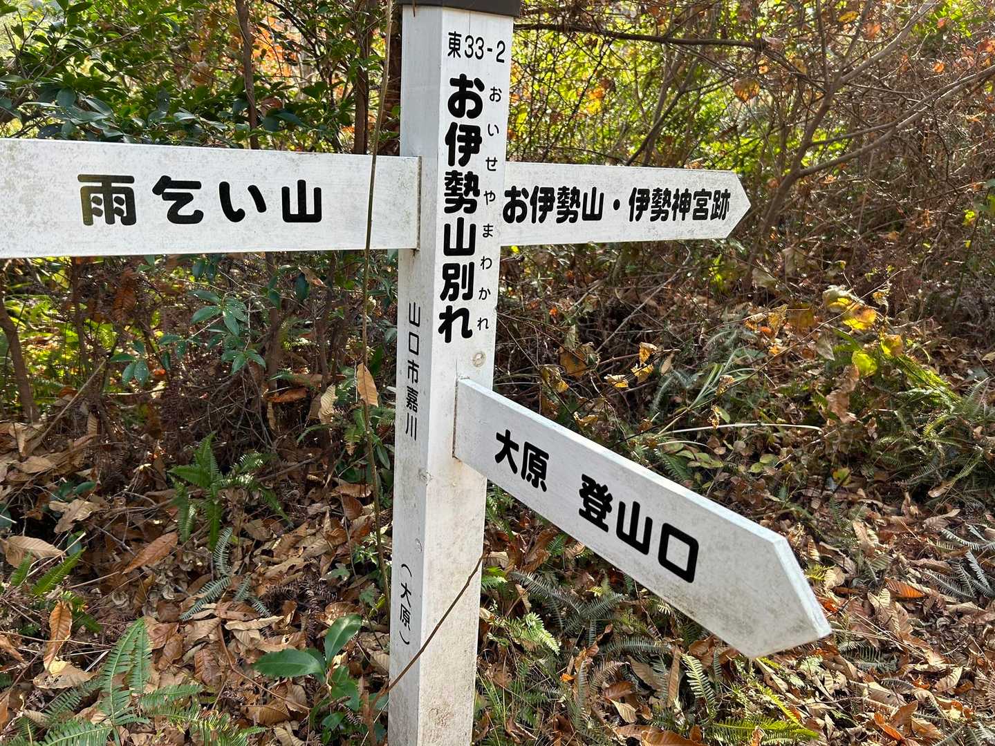 南部運動広場登山口-雨乞山-御伊勢山 周回コースの写真