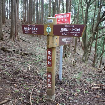 底沢峠通過