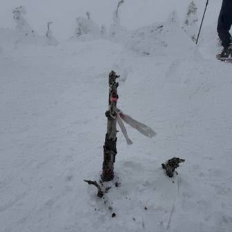 こ、これが西吾妻山の山頂の目印...
