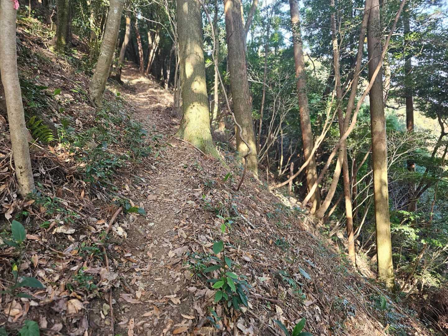 この崖落ちたら肋骨折りそうだよね😭と気を付けながら💦