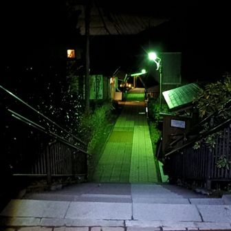 ネオン感えもい