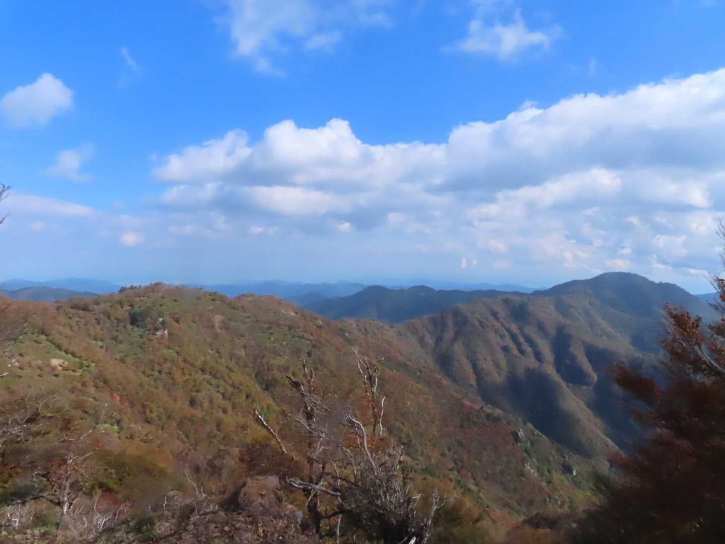 これが高丸山までの縦走路💨
本当はこんな茶色じゃなかったんですけどね