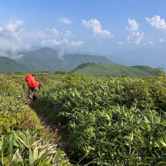 快適な稜線歩き。あの尾根の先に本日宿泊の小屋が。