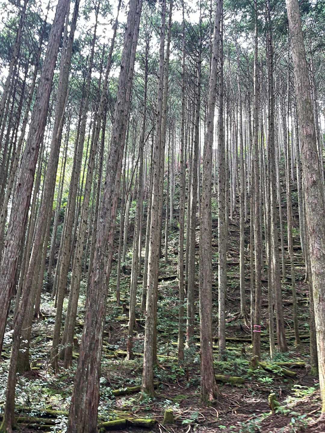 日差し出てきたよ😃