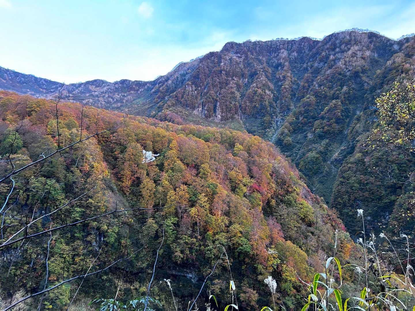 燕温泉-天狗堂-妙高山-長助池 周回コースの写真