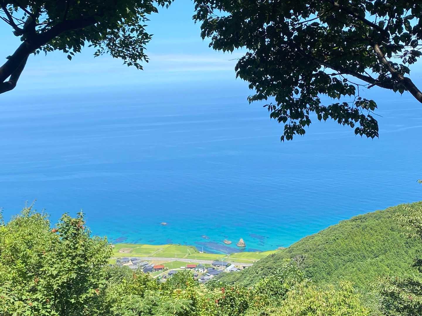依遅ヶ尾山 往復コースの写真