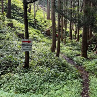 越沢登山口