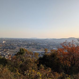 立岡山山頂