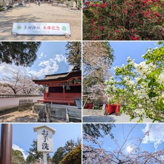 ゴール、多田神社。
また来ましたよぉ。

参加者は、903名。

多田駅まで、ただただ歩きます。