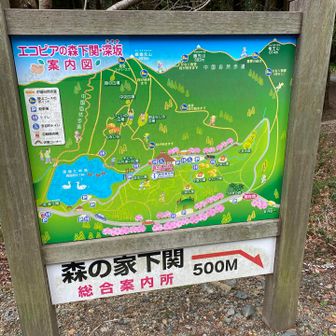 登り納め。頑張るぞー💪