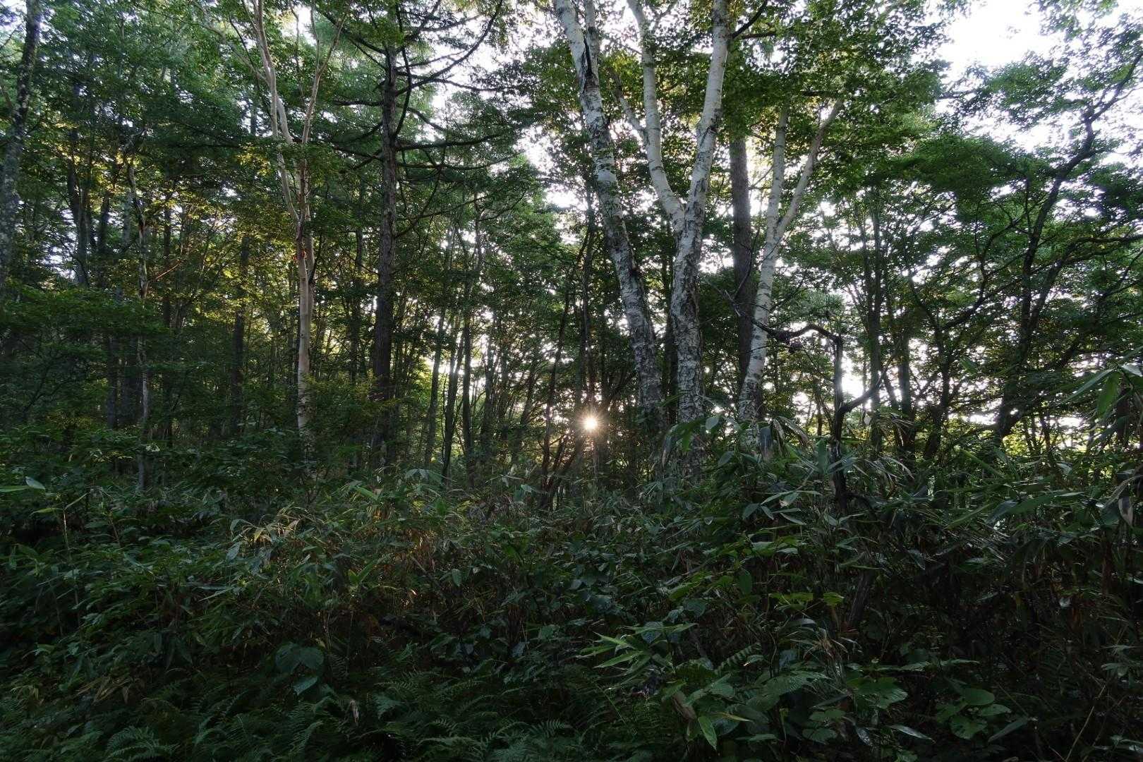 ヘッデンスタートしたにも関わらず、ここまで１枚も撮さず。