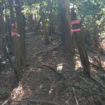 分岐