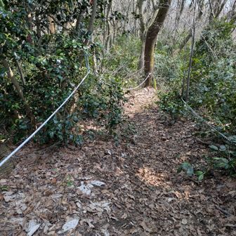 お助けロープ😆