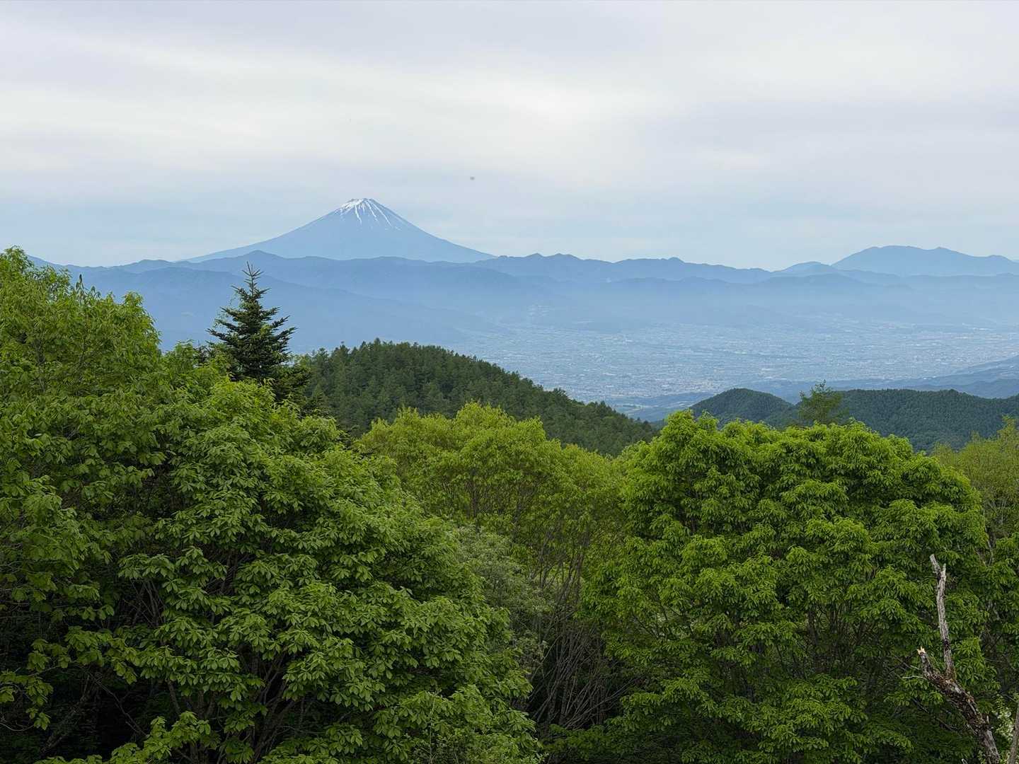 おおーー！
富士山🗻が見えとる！！