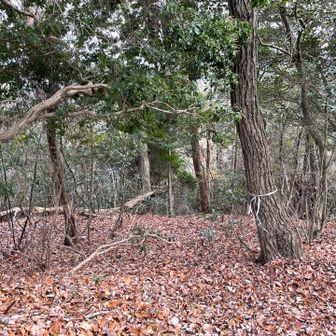 テープがあるのでそれに従って