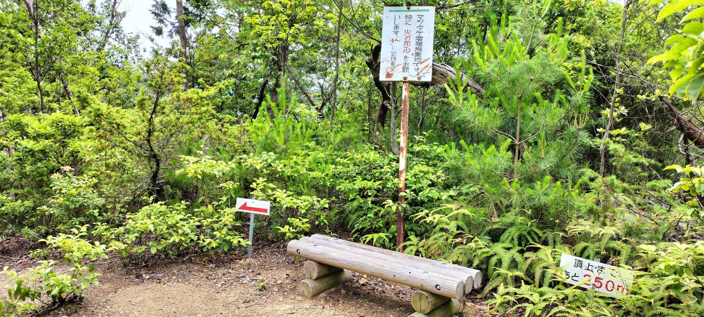 ベンチあります
案内板もあって歩きやすいです😄