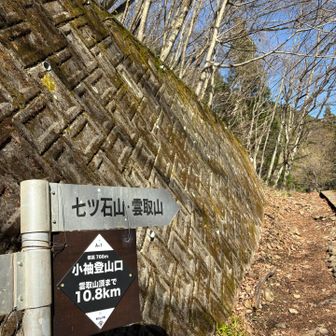 公共交通機関勢はここまで辿り着くだけでヘトヘトなのよ