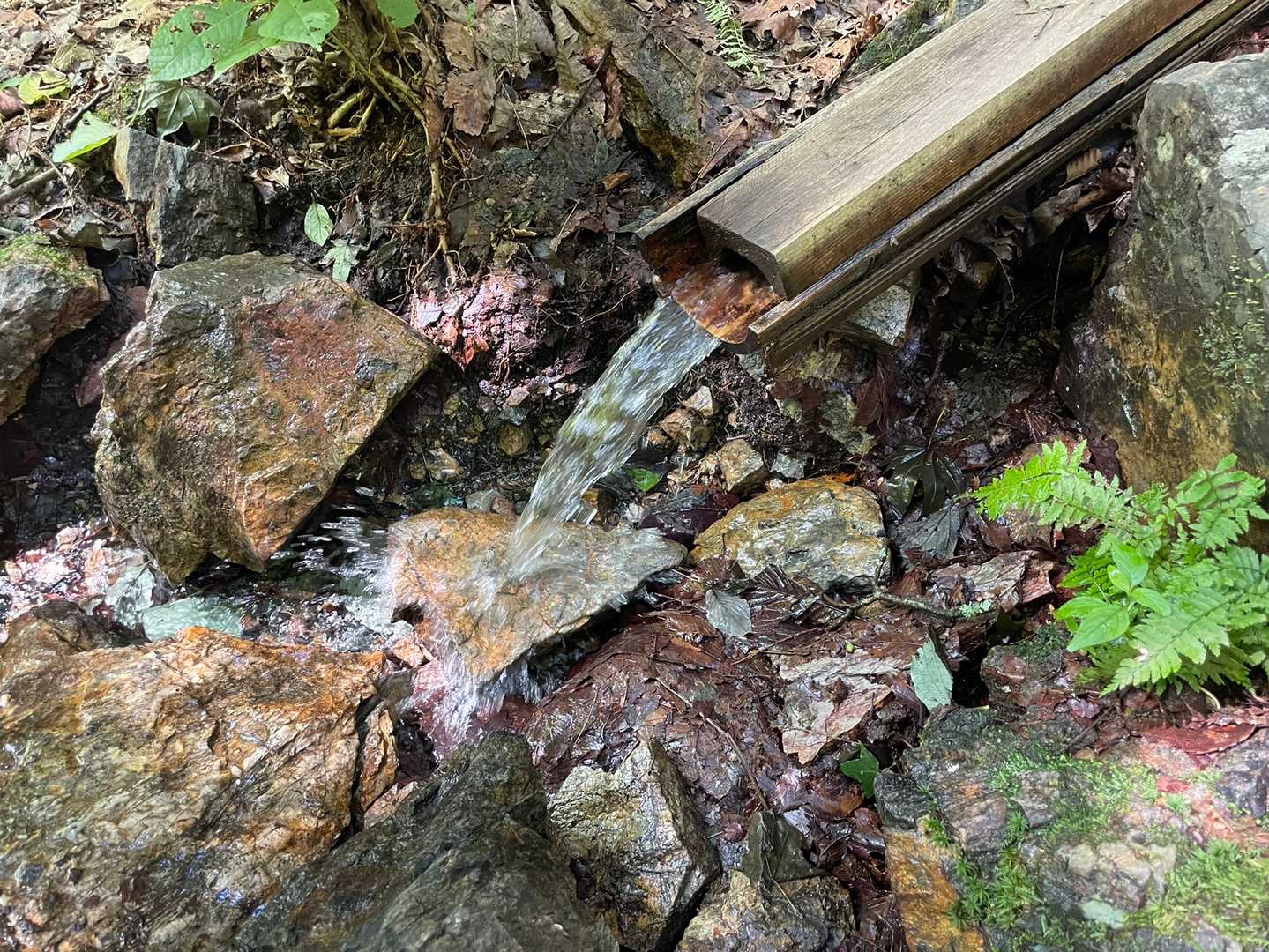 水場の水って湧き水なのかな？
川の水よりも冷たい✨